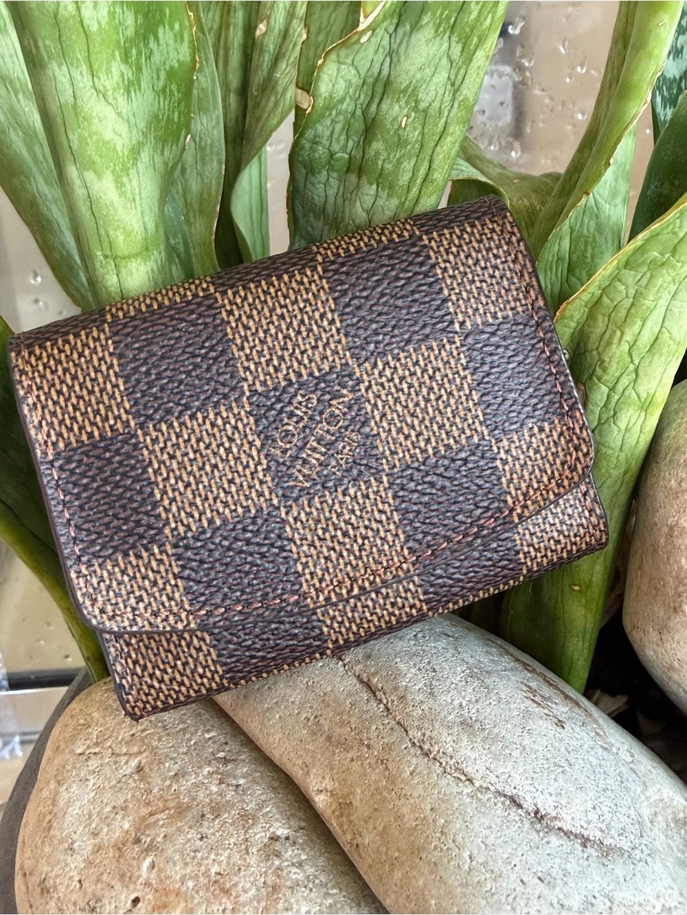 Louis Vuitton jewelry pouch